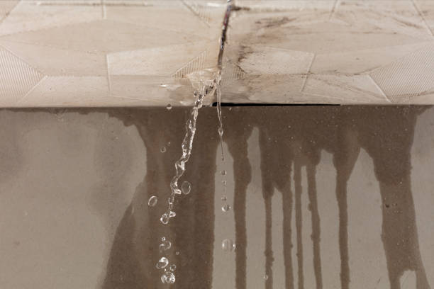 Professional Burst Pipe Cleanup technician working in Presto, PA